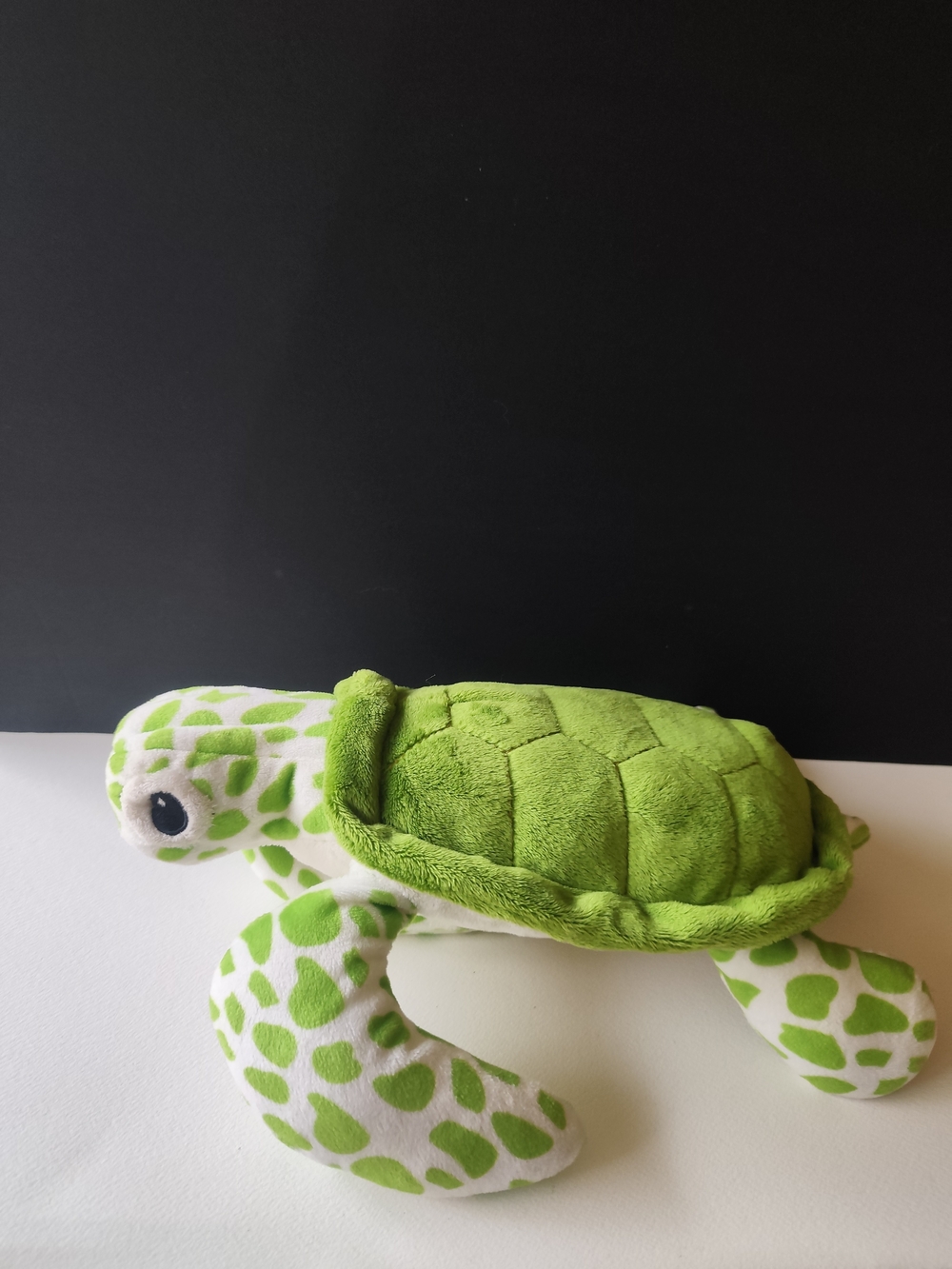 4/$50⭐️Vancouver Aquarium green sea turtle plush